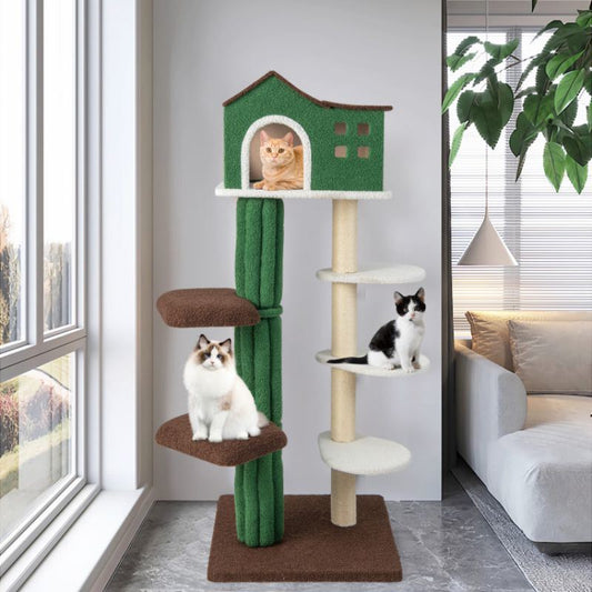 Multi-level Cat Tree with Condo